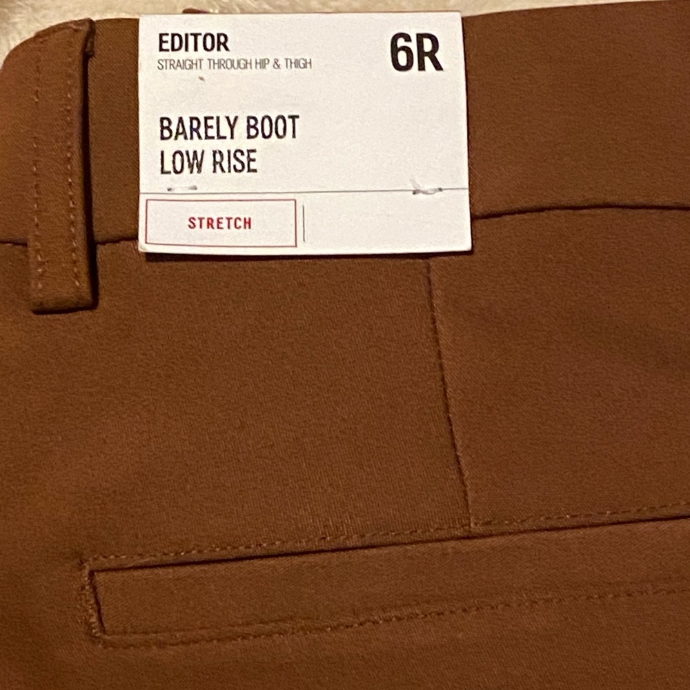 Express Editor Pants